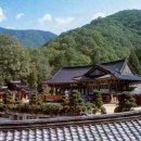수양양산