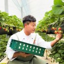 JW메리어트호텔 서울 이미지