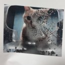 우리민들레약국 | 다죽자그냥