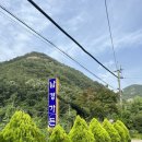 충청도 대전근교 보은 만수계곡 스노쿨링 명소 정확한 위치 다녀온 후기