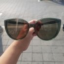 마이스터 옵틱 이미지