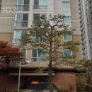 삼성보안시스템(행운비디오폰) 이미지