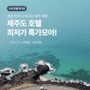 (주)이호 | 신라스테이 이호테우 디럭스 가든뷰 내돈내산 (+ 프로모션)