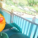 JS hotel | 바레인 Gulf Hotel Bahrain 숙소 솔직 후기 🌴 5성급 수영장·조식 완벽 리뷰! 출장 호텔 찾는 분 필독✨