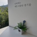 카페1004 이미지