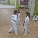 우솔 태권도장 이미지