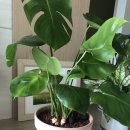 용동농장 이미지