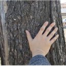 창녕읍사무소 이미지