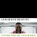 풍동점핑
