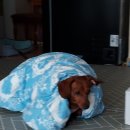 가마로강정 과천점 이미지