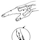 경희자연채한의원 이미지