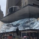 디스트릭트