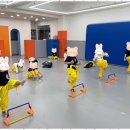 운암태권도 이미지