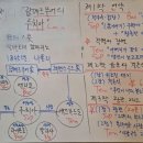 람메르무어의 루치아 | 【해마】 도니제티의 오페라 람메르무어의 루치아를 보다. 🎭