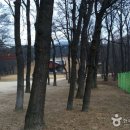 서울 헌릉과 인릉 이미지