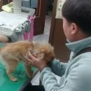 이박사동물병원