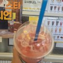 다뺀다방 | 빽다방 수박주스 칼로리 맛 가격 당류 솔직 후기