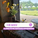 시흥숲정신건강의학과 | 경기도시흥카페 추천 '늘솜당' 주말 나들이 가기 좋은 정원이 있는 시흥베이커리카페