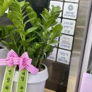 GS수안보중앙점 이미지