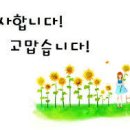 더감사
