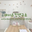 마이스킨연구소 | [대전 피부타입진단 피부MBTI] 마이스킨연구소 화장품 성분추천