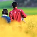 호남선 농장 티스토리
