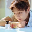 올리브코튼 | 윙민수 포맨트 코튼메모리 향수 향 후기 및 올리브영 영통 이벤트 & 와와의 은혜