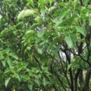 글과나무협동조합 이미지