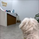 이지메디 이미지