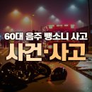 덕진-60 이미지