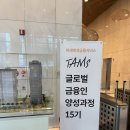 금융서비스 TAMS 15기 서류합격 | 면접합격 | 활동 후기 | 한화생명금융서비스 대외활동 HFL과의 비교