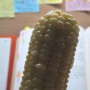 (주)서원유통 탑마트 신촌점 | 이래서 재밌는거지