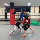 현 합기도 이미지