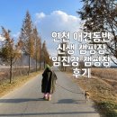 연천 애견동반 신생캠핑장 &#39;임진강 캠핑장&#39; 강풍과 함께한 후기