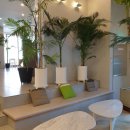 씨앤트리 이미지