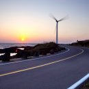 푸른신창 이미지