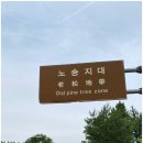 수원 가볼 만한 곳 노송공원 아름다운 5가지 매력과 아쉬운 현실