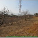 남산터미널 앞 이미지