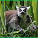 울림한의원 이미지