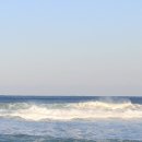 장사솔밭펜션 이미지