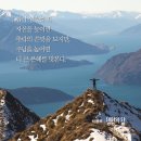 그늘과 빛의 기억 이미지