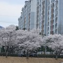 한오백년 추어탕 | 순창 미식 여행의 정점! 순창 향토음식 고추장불고기 맛집 '한오백년추어탕' 찐후기