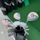예스스크린골프 네이버블로그