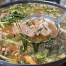 남춘천새길 | 춘천 염소탕 맛집 고우국밥 보양식 추천 내돈내산 후기!