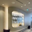 세브란스피부과의원 | 대치동 근처 피부과 전문의 1:1 상담 가능한 곳 스킨부스터 후기