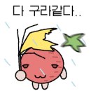 테우안경 이미지