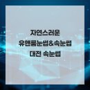 자연스러운 유앤룸눈썹&amp;속눈썹 대전 속눈썹