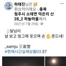 맥타가트 농장 이미지