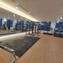 버프 짐 이미지