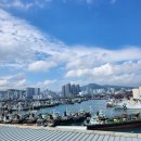 5층 하늘약국 티스토리